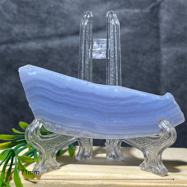 Blue Lace Agate Slice-ToShay.org