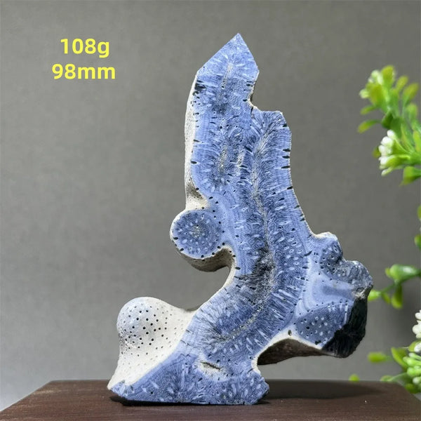 Blue Coral Crystal-ToShay.org