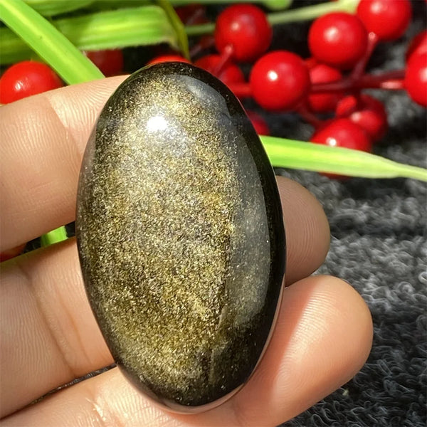 Silver Black Obsidian-ToShay.org