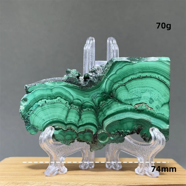 Green Malachite Slice-ToShay.org