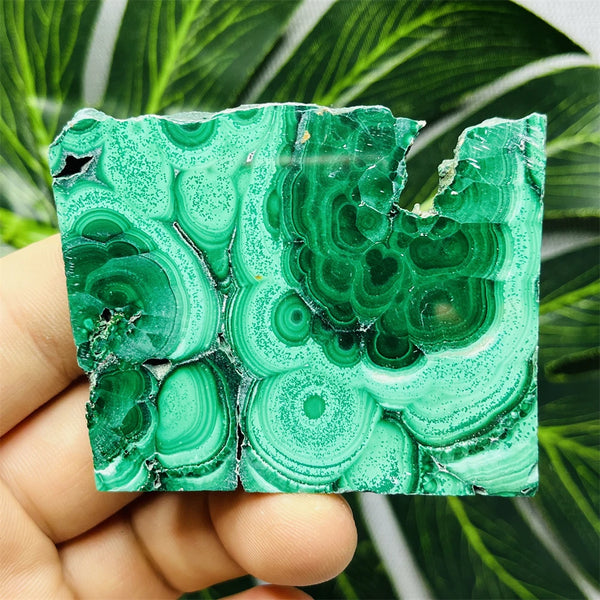 Green Eyes Malachite-ToShay.org