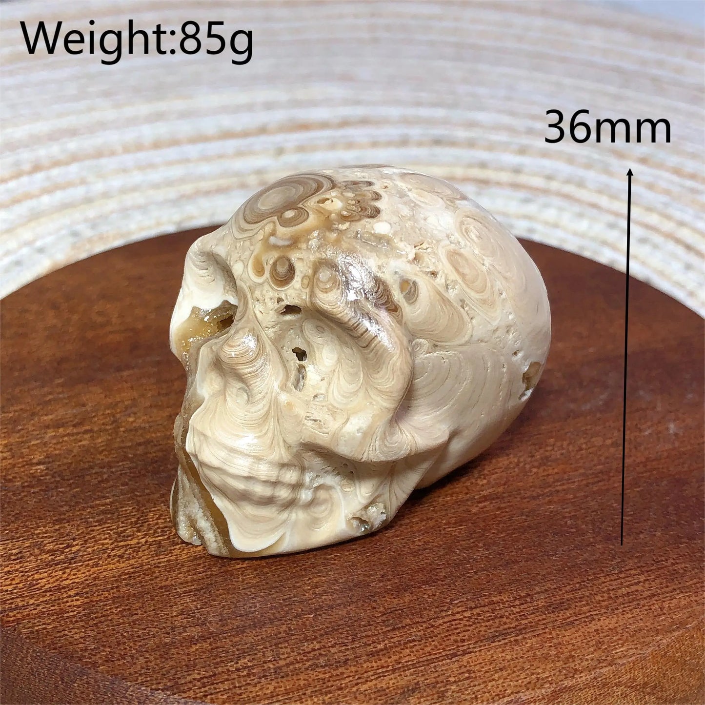 White Chocolate Calcite Skull-ToShay.org