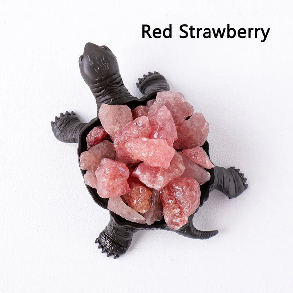 Mixed Crystal Turtles-ToShay.org