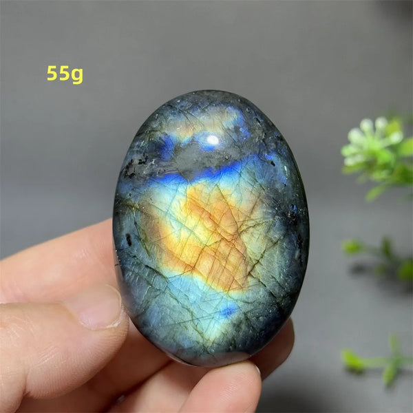 Blue Labrador Palm Stone-ToShay.org