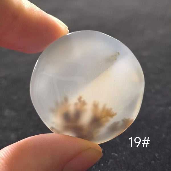 White Onyx Ocean Chalcedony-ToShay.org