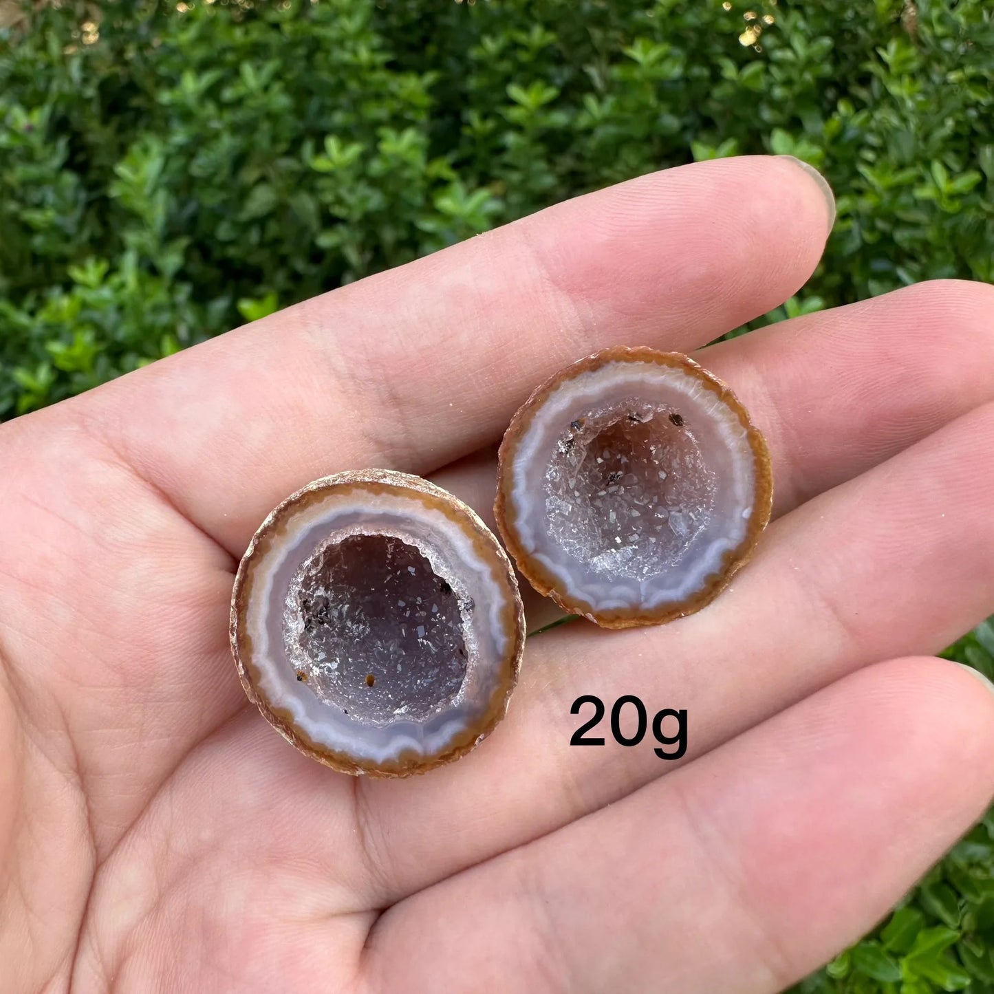 Mixed Agate Crystal Geode-ToShay.org