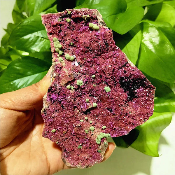 Pink Cobaltocalcite Crystal-ToShay.org