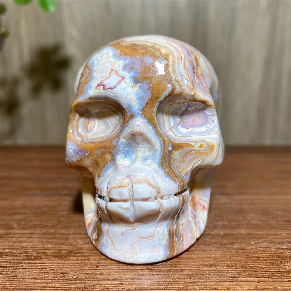 Yellow Crazy Lace Agate Skull-ToShay.org