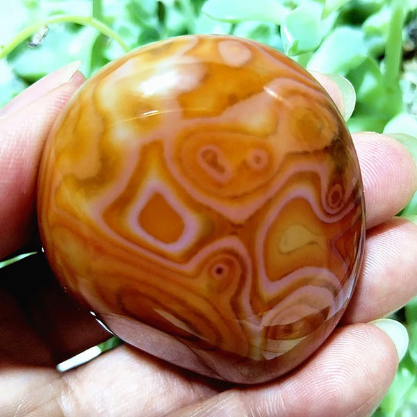 Red Sardonyx Lace Agate-ToShay.org