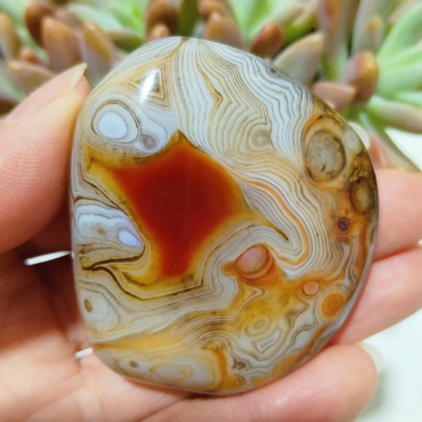 Red Sardonyx Lace Agate-ToShay.org