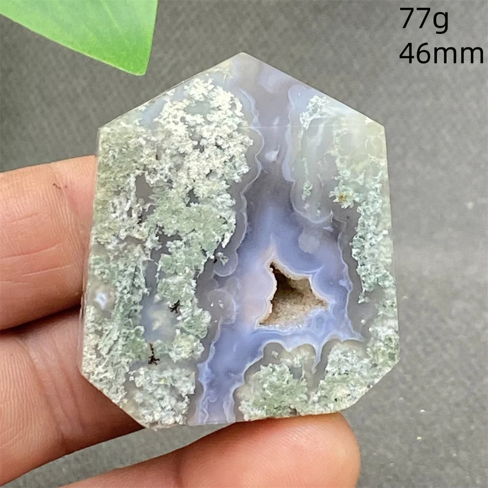 Green Water Plant Agate-ToShay.org