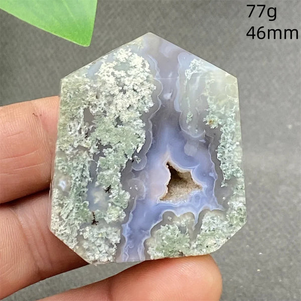 Green Water Plant Agate-ToShay.org