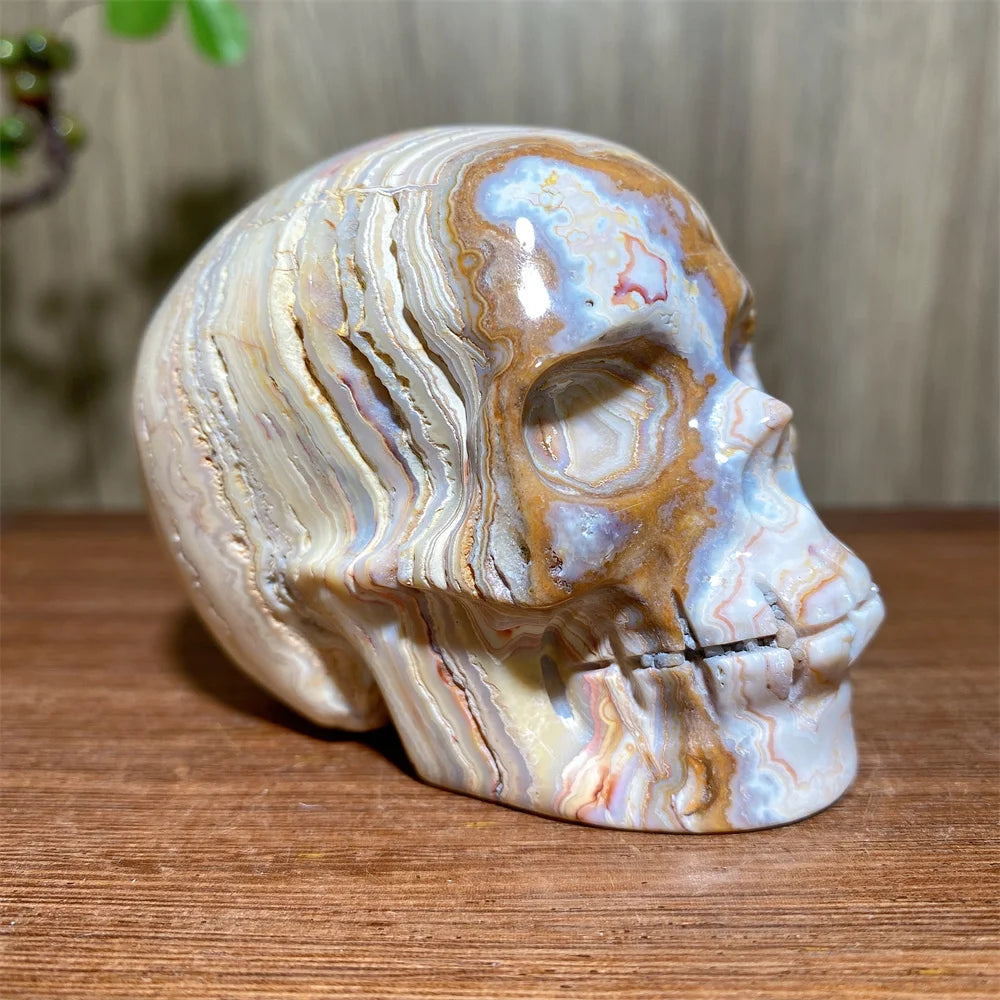 Yellow Crazy Lace Agate Skull-ToShay.org