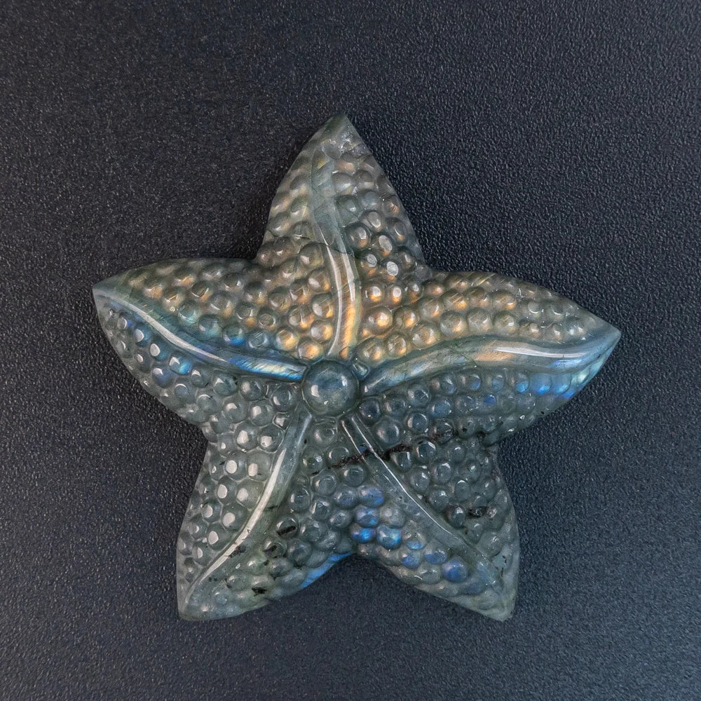 Blue Labradorite Starfish-ToShay.org