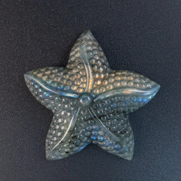 Blue Flash Labradorite Starfish-ToShay.org