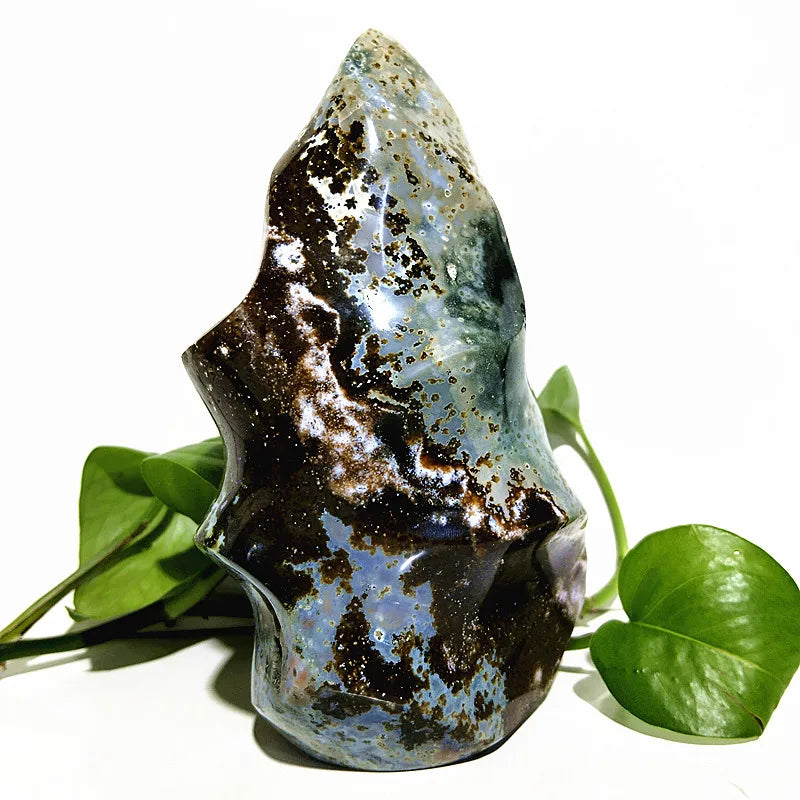 Ocean Jasper Point Flame-ToShay.org