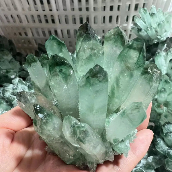 Green Citrine Quartz Crystal Cluster-ToShay.org