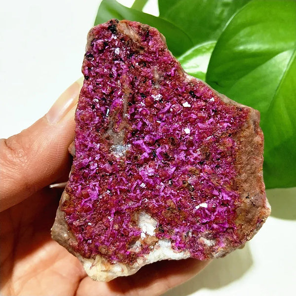 Pink Cobaltocalcite Raw Rock-ToShay.org