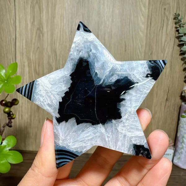 Black Agate Star-ToShay.org