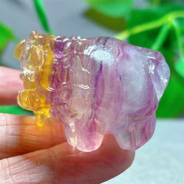 Rainbow Fluorite Dragon Turtle-ToShay.org