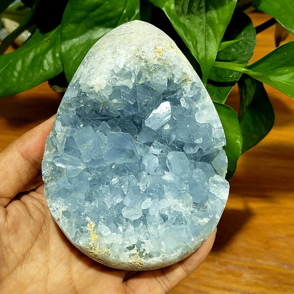 Blue Celestine Geode Crystal-ToShay.org