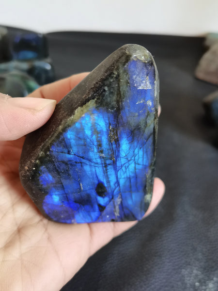 Blue Labrador Quartz Crystal-ToShay.org