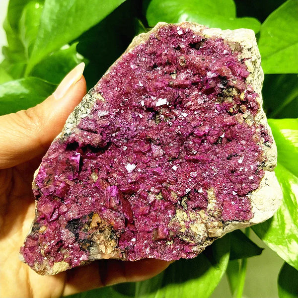Pink Cobaltocalcite Crystal-ToShay.org