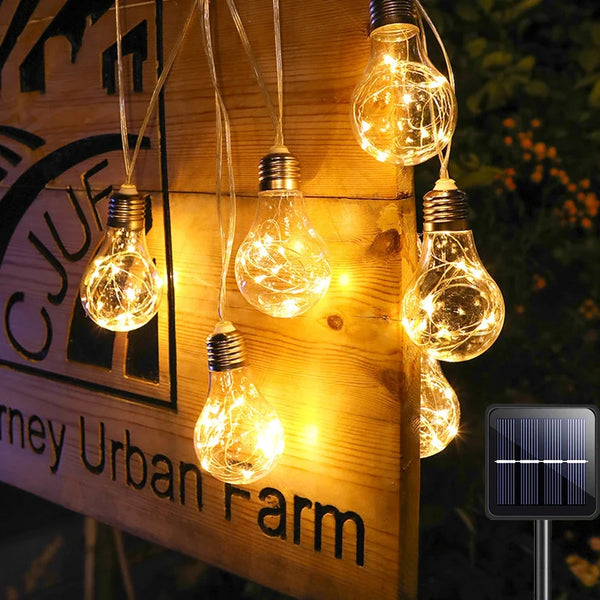 Bulb String Lights-ToShay.org
