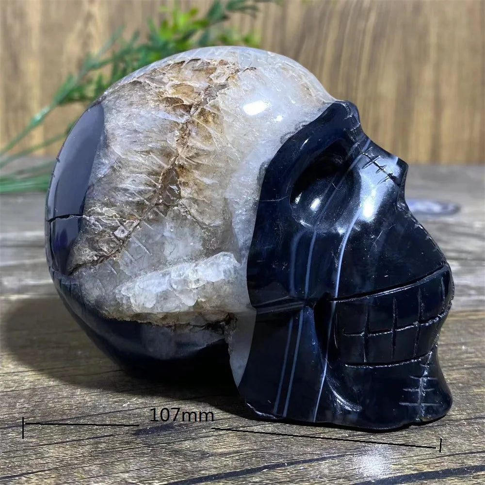 Black Agate Skull-ToShay.org