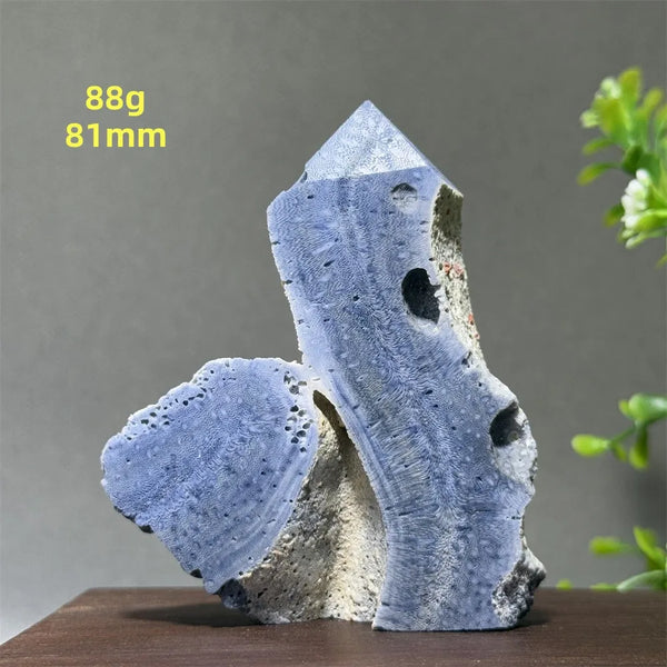 Blue Coral Crystal-ToShay.org