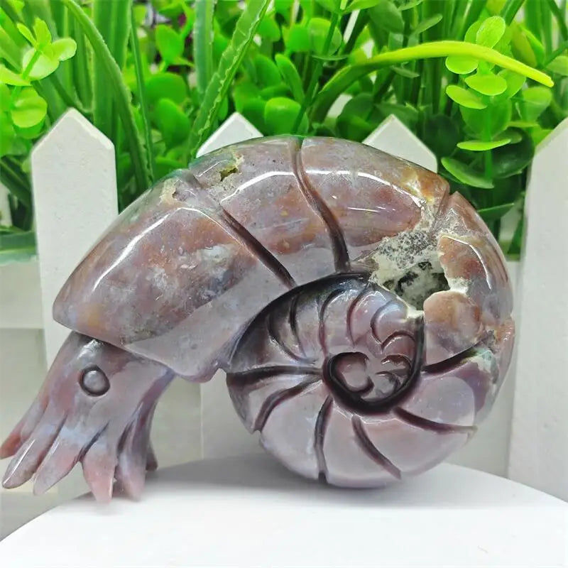 Natural Ocean Jasper Snail Conch Carving Figurine Polished Fengshui Gemstones Sculpture Crafts Gift 1PCS-ToShay.org