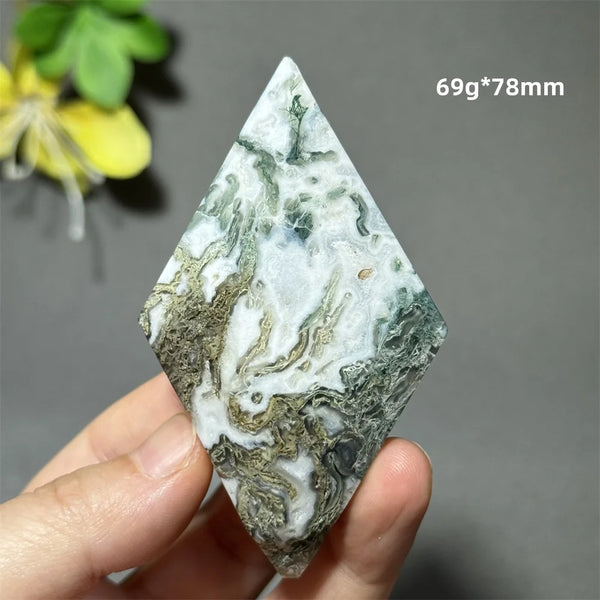 Green Aquatic Plant Agate-ToShay.org