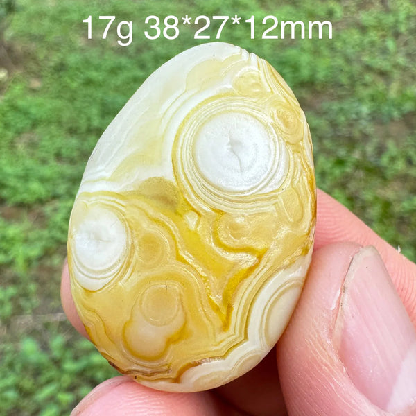 Brown Gobi Eye Agate-ToShay.org