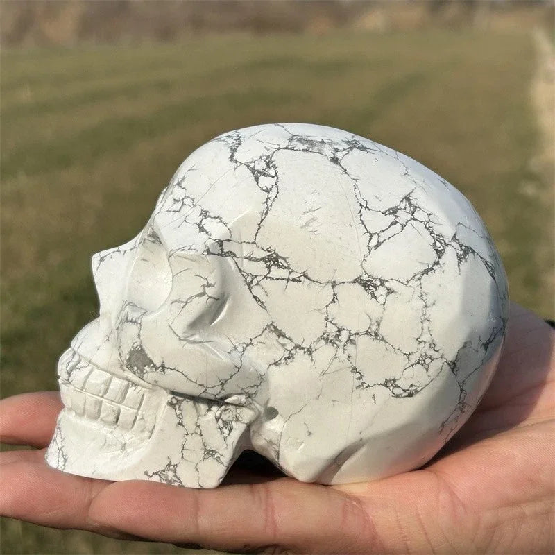 White Howlite Skull-ToShay.org