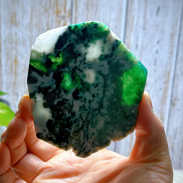 Green Moss Agate Slice-ToShay.org