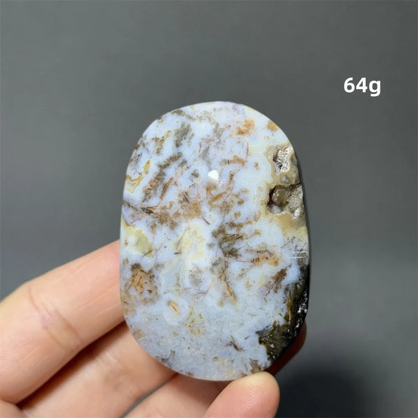 Red Agate Palm Stone-ToShay.org