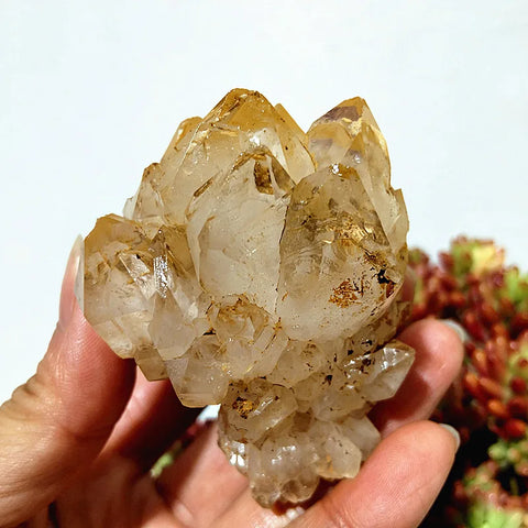 Yellow Crystal Clusters-ToShay.org