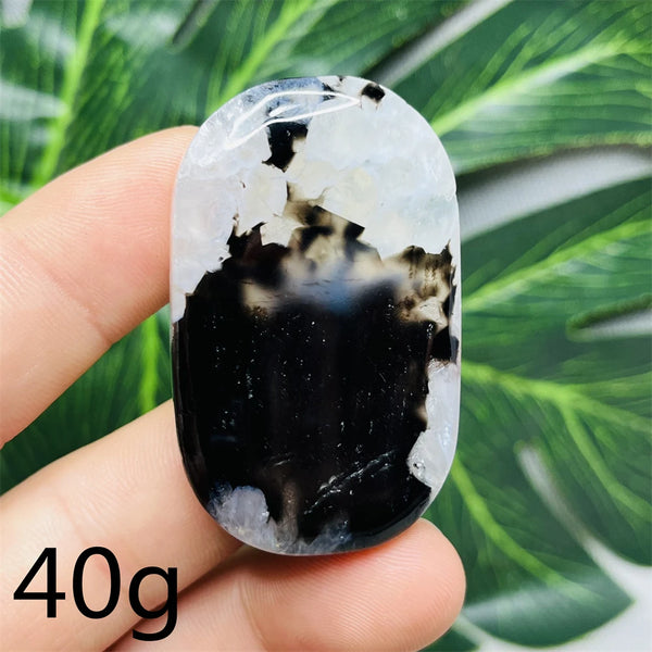 Black White Agate Palm Stone-ToShay.org