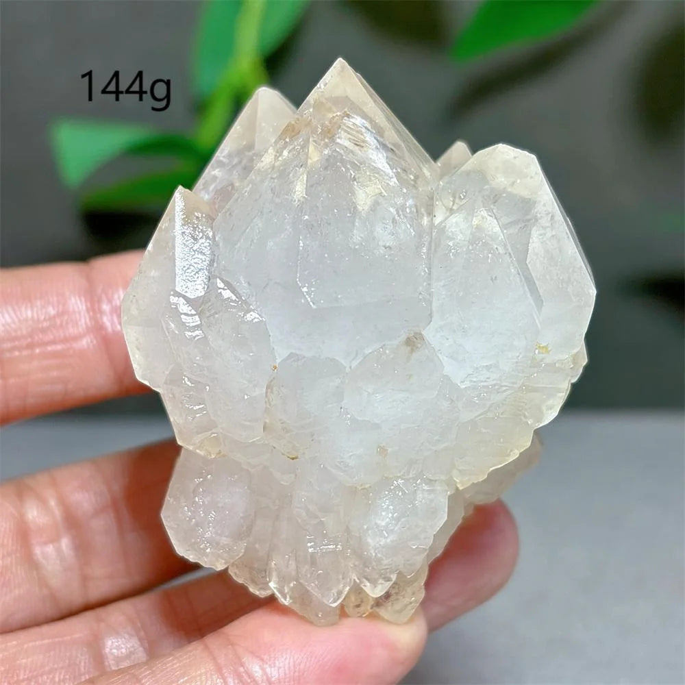 Clear Lotus Backbone Quartz Cluster-ToShay.org