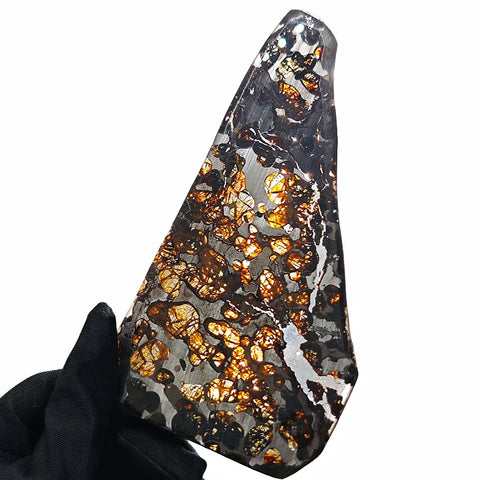 Olive Meteorite Slice-ToShay.org