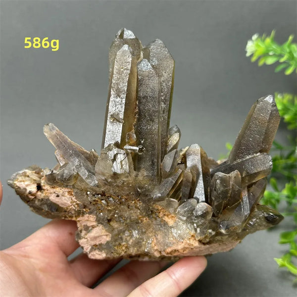 Black Quartz Crystal-ToShay.org