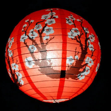 Paper Lantern-ToShay.org