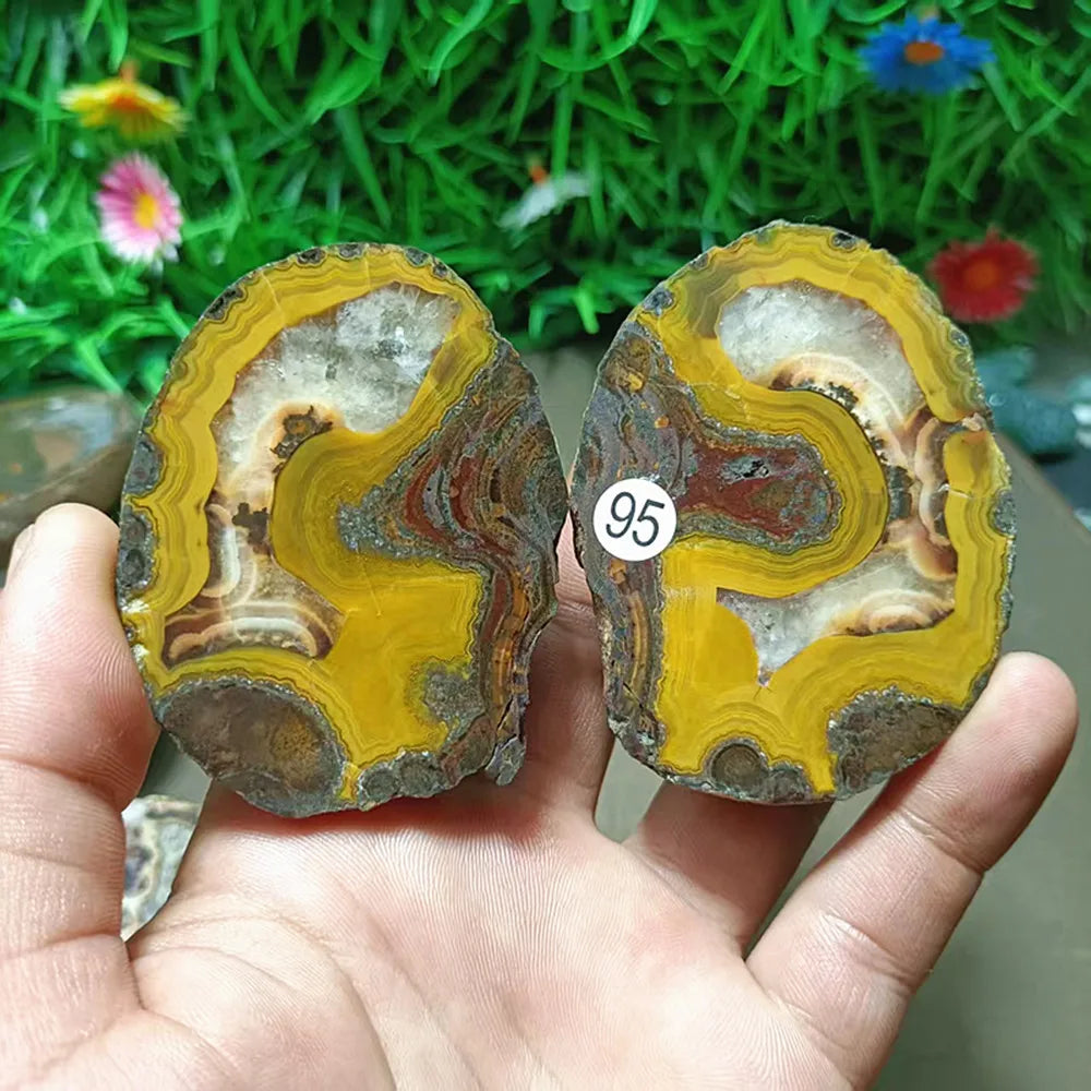 Mixed Agate Quartz Geodes-ToShay.org