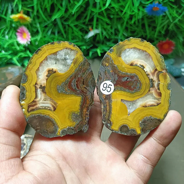 Mixed Agate Quartz Geodes-ToShay.org