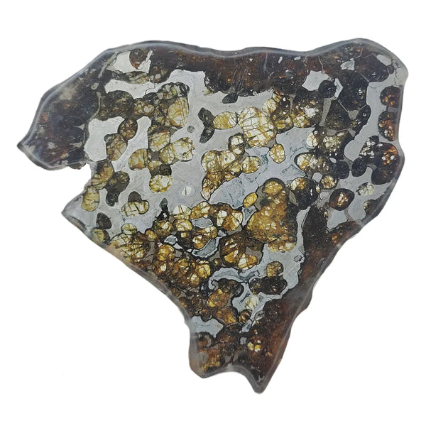 Olive Meteorite Slice-ToShay.org