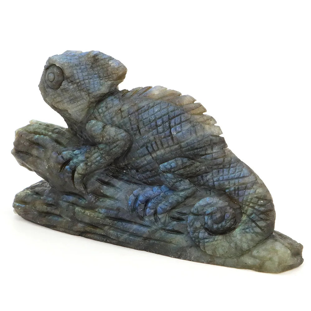 Blue Labradorite Chameleon-ToShay.org