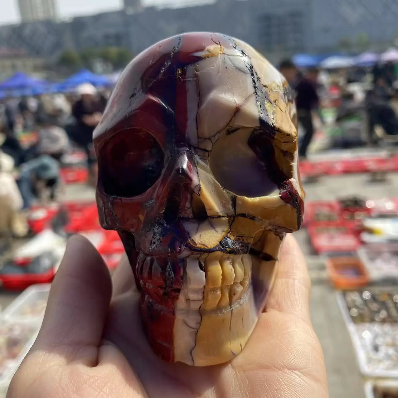 Red Mookaite Skull-ToShay.org