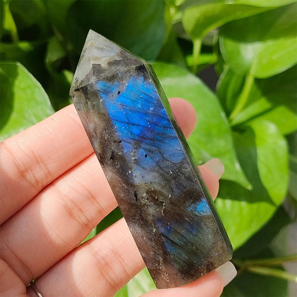 Blue Labradorite Point Tower-ToShay.org