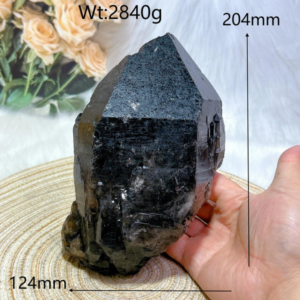 Black Quartz Skeletal Cluster-ToShay.org