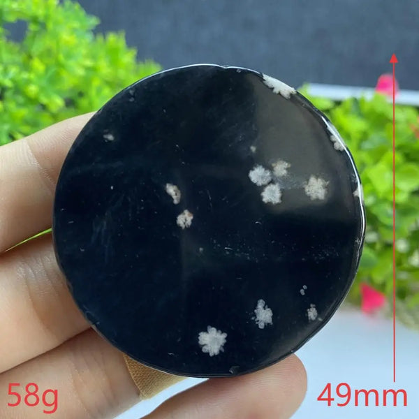 Black Agate Slice-ToShay.org